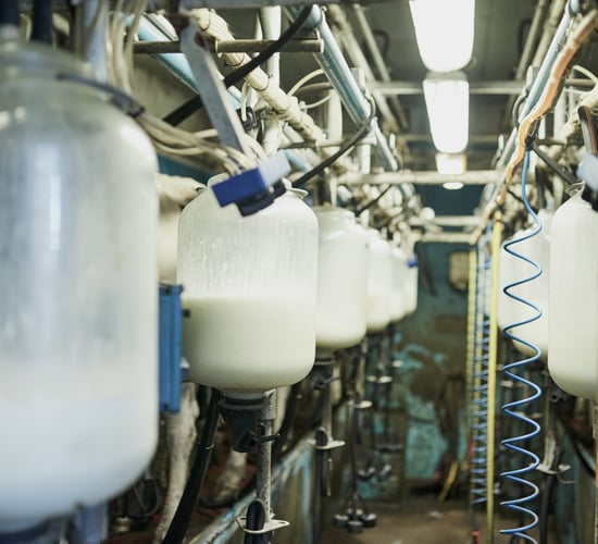 CSO: Domestic milk intake back over 22% in January
