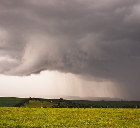 'Incessant rainfall' causing 'serious issues' for beef farmers