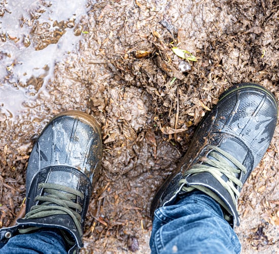 Commission clarifies support for farmers during extreme weather events