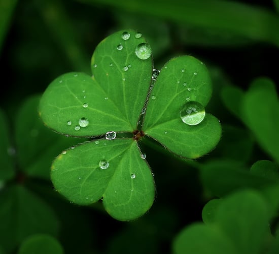 Met Éireann: Mixed conditions for St. Patrick's weekend