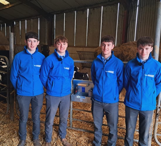 TY students create equipment for safer dehorning practice