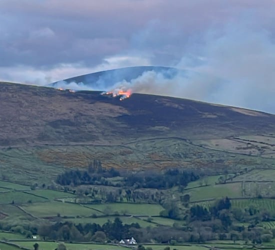 DAFM to contact farmers after mountain fires in Carlow