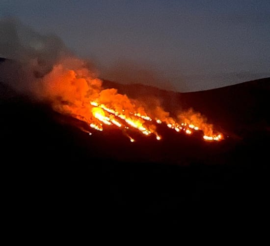 Call for support for farmers after land destroyed by gorse fires