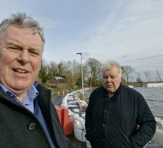 Mullooly to run in EU elections for Independent Ireland