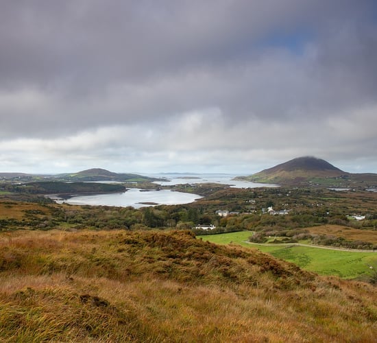 Coillte refused permission to fell over 200ha for peatland restoration