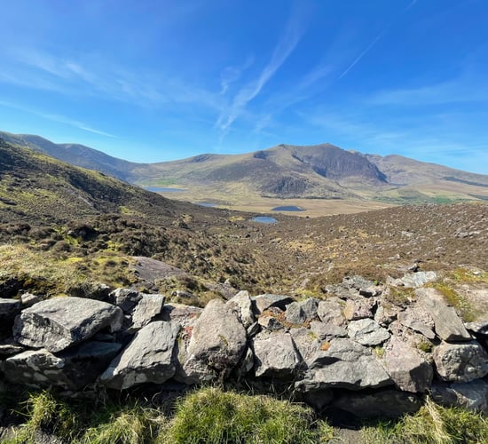 NPWS to commission habitat assessments in new national park