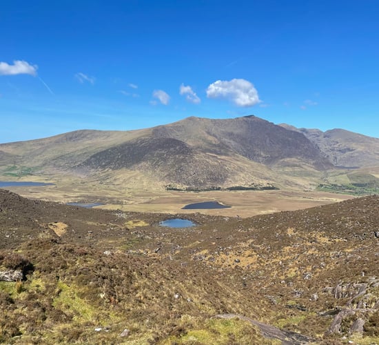 Watch: No change in farming with new national park - Noonan