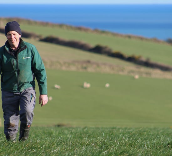 Heat detection made easy with Censortec CowControl