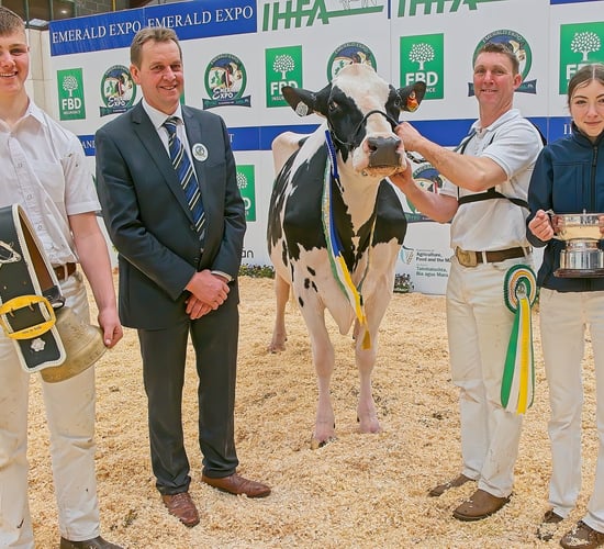 Wexford family take top titles at 12th Emerald Expo in Cavan
