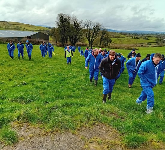 CAFRE to host 'efficient and sustainable' farm walks
