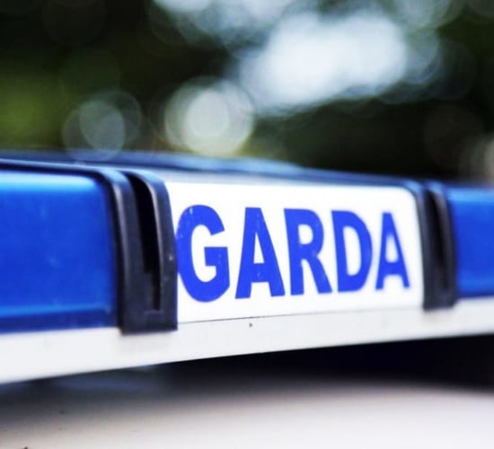 Gardaí recover some items stolen from Leitrim yard