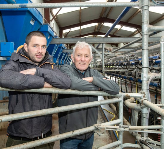 Dairy Beef Index Series: Limerick farmers plan to breed 100 cows to beef sires