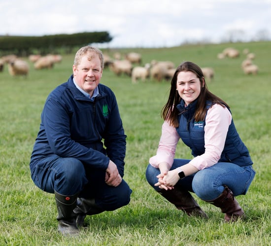 IGA sheep event set for Donegal farm next month