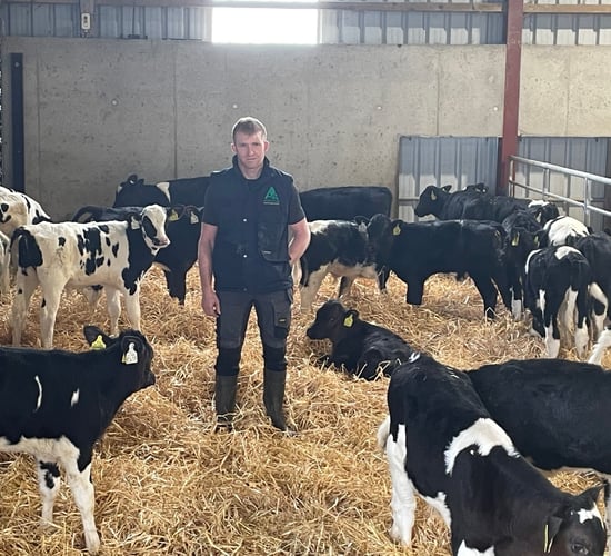 Auctus Champion Calf Milk Replacer delivering top results