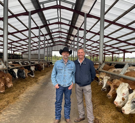 US cattle rancher shares views on cow size and age at first calving