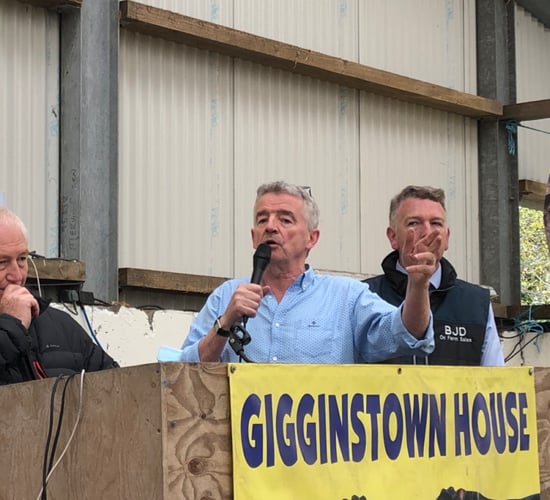 Ryanair CEO set to host on-farm Angus sale this Saturday