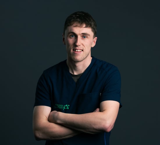 New ‘day in the life’ series follows different Irish vets