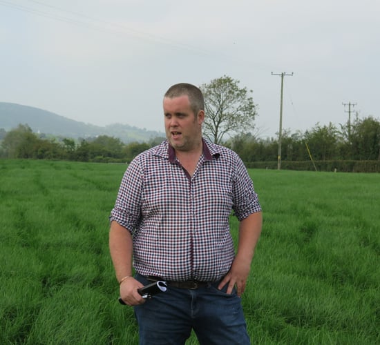 Dairy Beef Index Series: Limerick farmer takes keen interest in breeding through AI