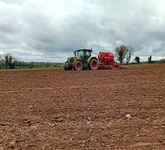 'Now or never' for Laois farmer attempting to sow barley