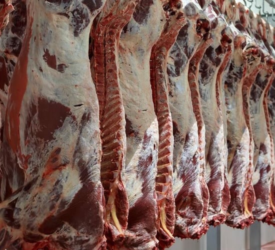 Beef Kill: Average carcass weights falling for heifers and steers