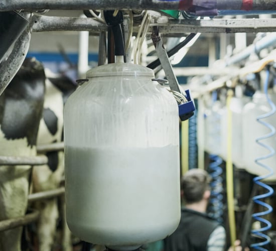 Controlling thermoduric bacteria counts this autumn