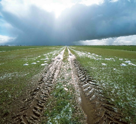 Support for farmers during wet weather conditions
