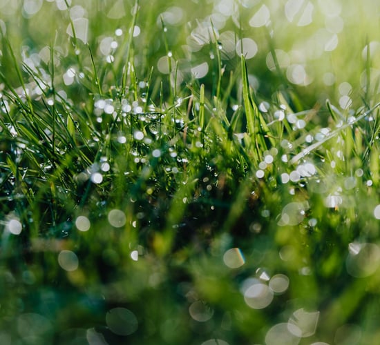 Met Éireann: Coming week to be 'more unsettled' 