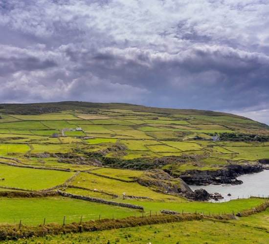 DAFM issues over €2 million in scheme payments