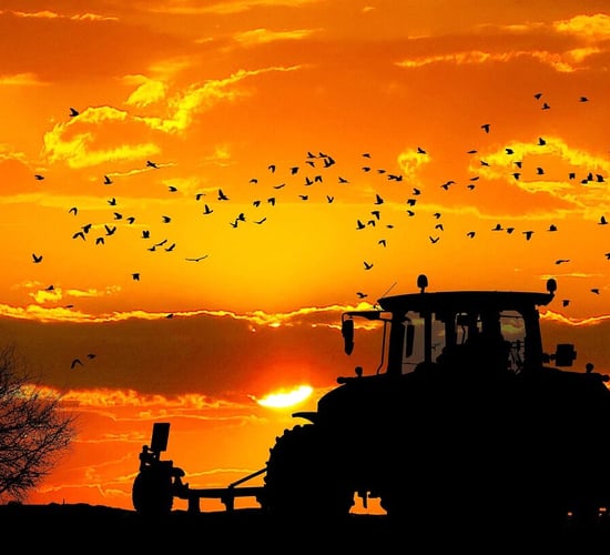 Senator: Mercosur is a 'direct threat' to family farms