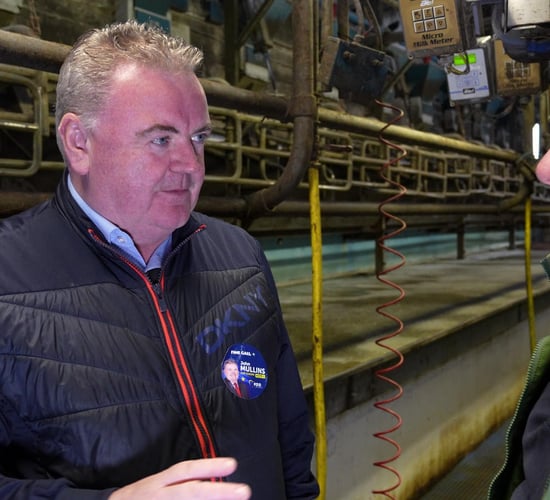MEP candidate vows to fight for futures of farmers if elected