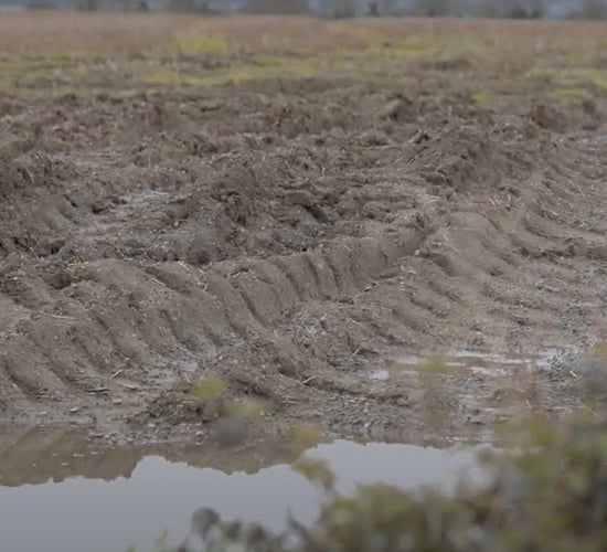 Kerrane: Govt response to wet weather 'not good enough'