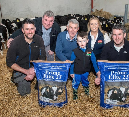 Tipperary farmers believe optimising milk feeding stage is key