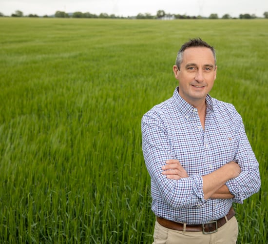 Bank of Ireland offers new sustainability loans for a brighter future