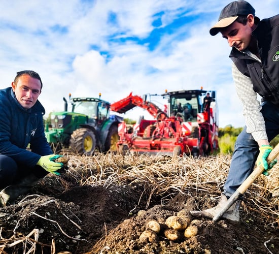 Mitigating climate change with organic matter