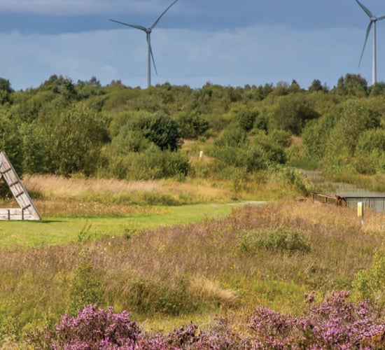 Bord na Móna reports operating profit of €95.2m for year to March 2023