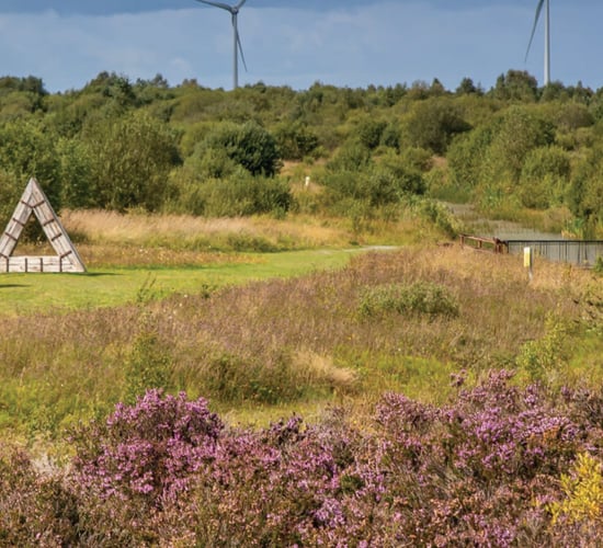 Bord na Móna reports operating profit of €31.9m