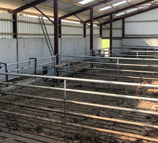Supply of factory-fit bullocks showing signs of tightening