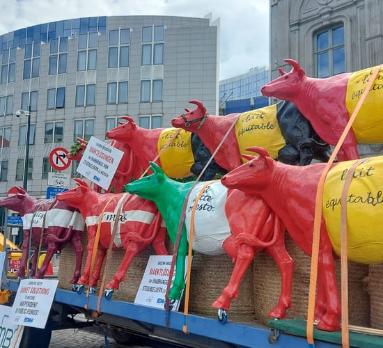 Report: Meat production and livestock figures decline across EU