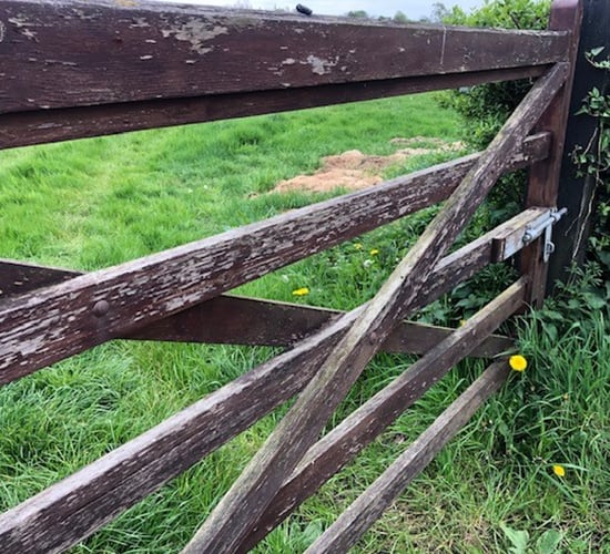 Teagasc outlines importance of yard design for farm safety