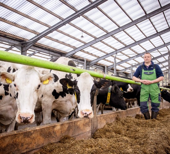 Research on Antrim farm identifies heat stress in animals