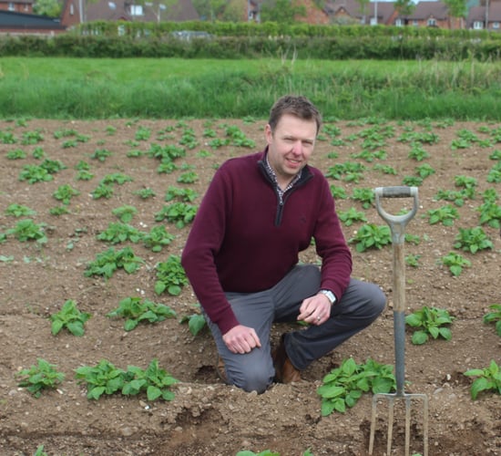 First early potatoes in NI could be in shops by end of May