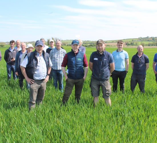 Spring cereal crops - much fieldwork in a short timeframe