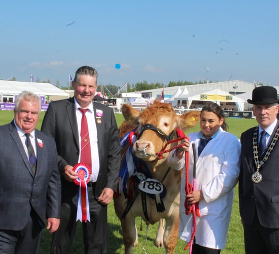 Trevor Shields is the Champion of Champions at Balmoral Show 2024