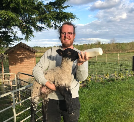 New book reflects on lessons learned from a sheep shed