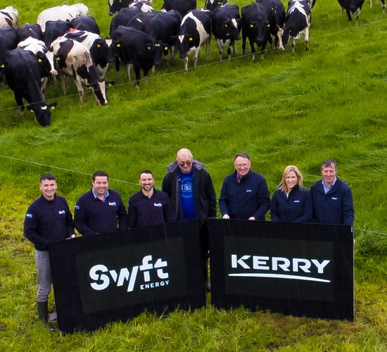 Dairy farmers can reduce electricity costs through new partnership