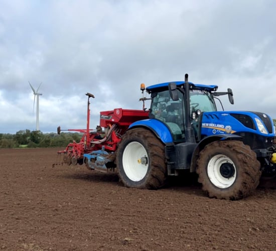 Opinion: Review of the 2024 cereal year must take place