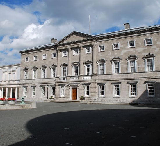 Forest owners to hold ash dieback protest outside Leinster House