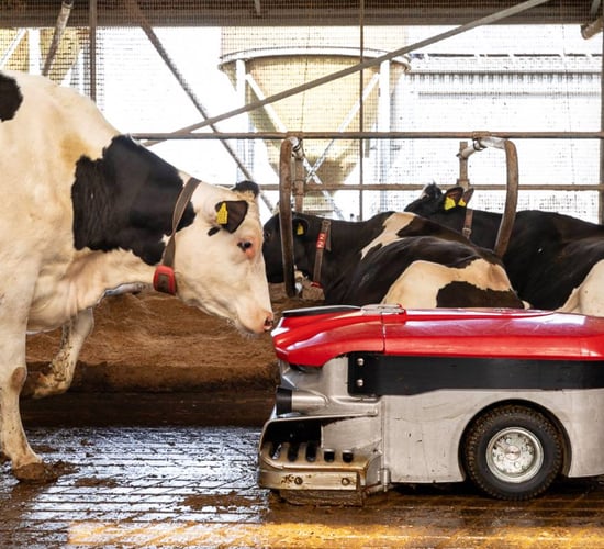 Lely Discovery Collector C2 combats lameness in cattle