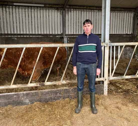 Ballinrobe suckler and sheep farm to host IGA beef event