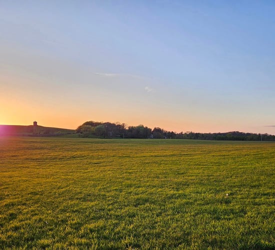 Clare town forced to postpone agricultural show due to poor weather